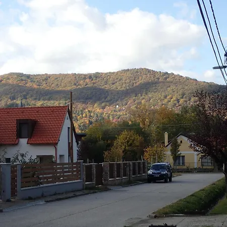 Apartament Sziget
